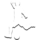 SportBook